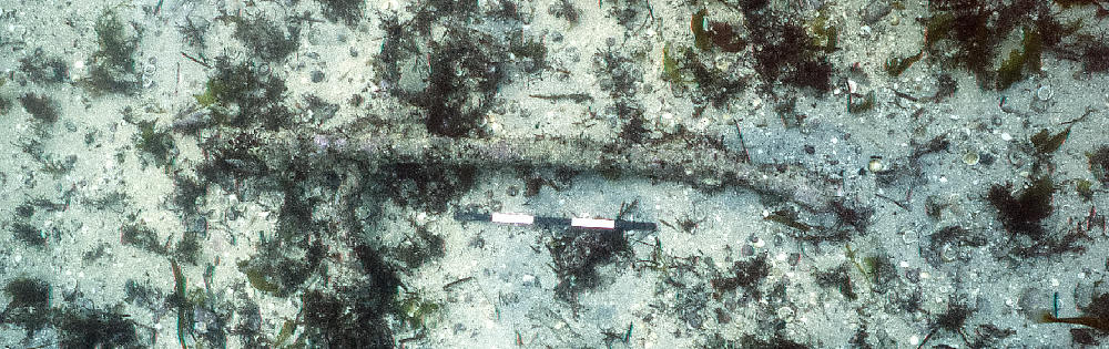 A musket laying on the seabed