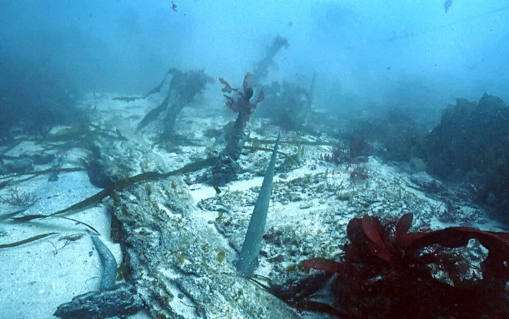 Dive photo: Sharp spikes and hull