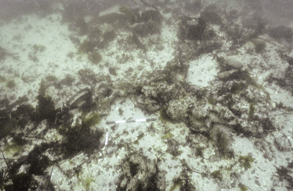 Mizzen chains laying on the seabed. The scale is 0.5m.