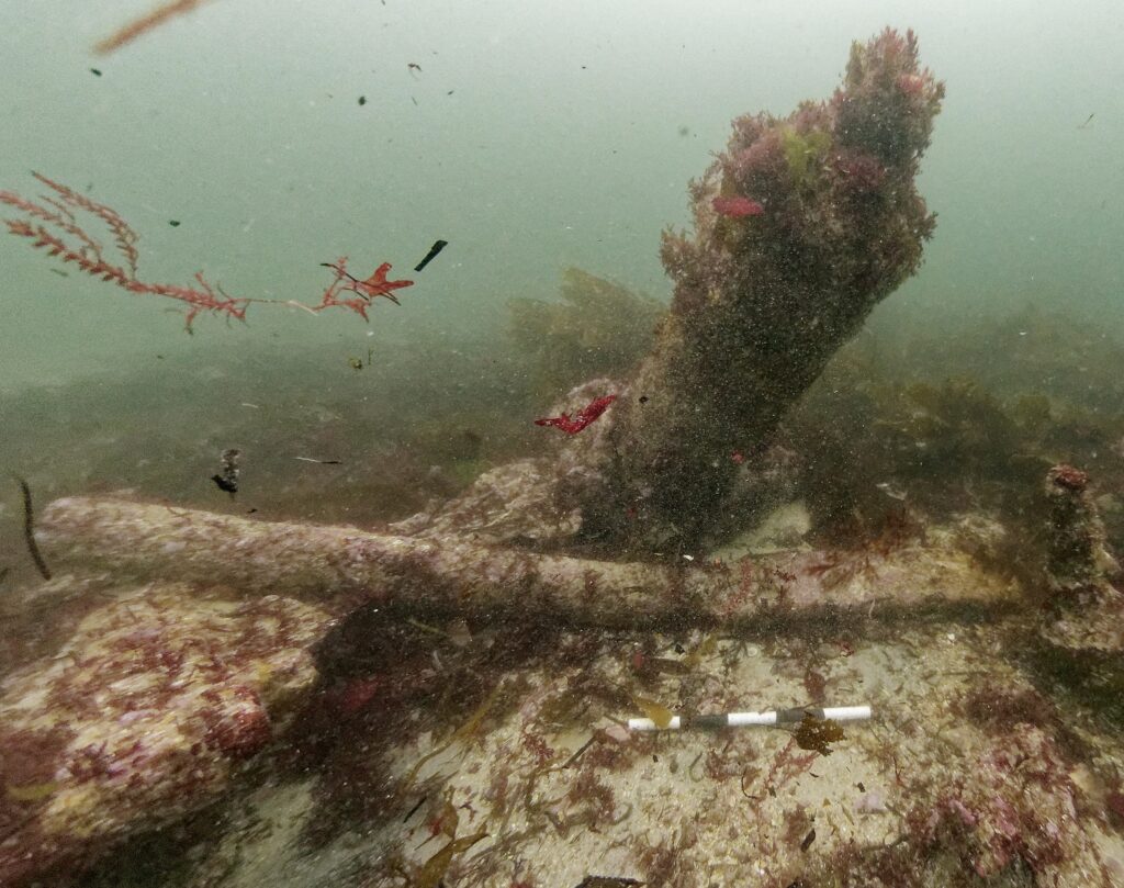 A submerged shipwreck site with a large vertical cannon covered in marine growth, surrounded by red seaweed and sediment. A horizontal iron beam lies on the seabed in the foreground. A black-and-white measuring scale is visible near the centre for reference.