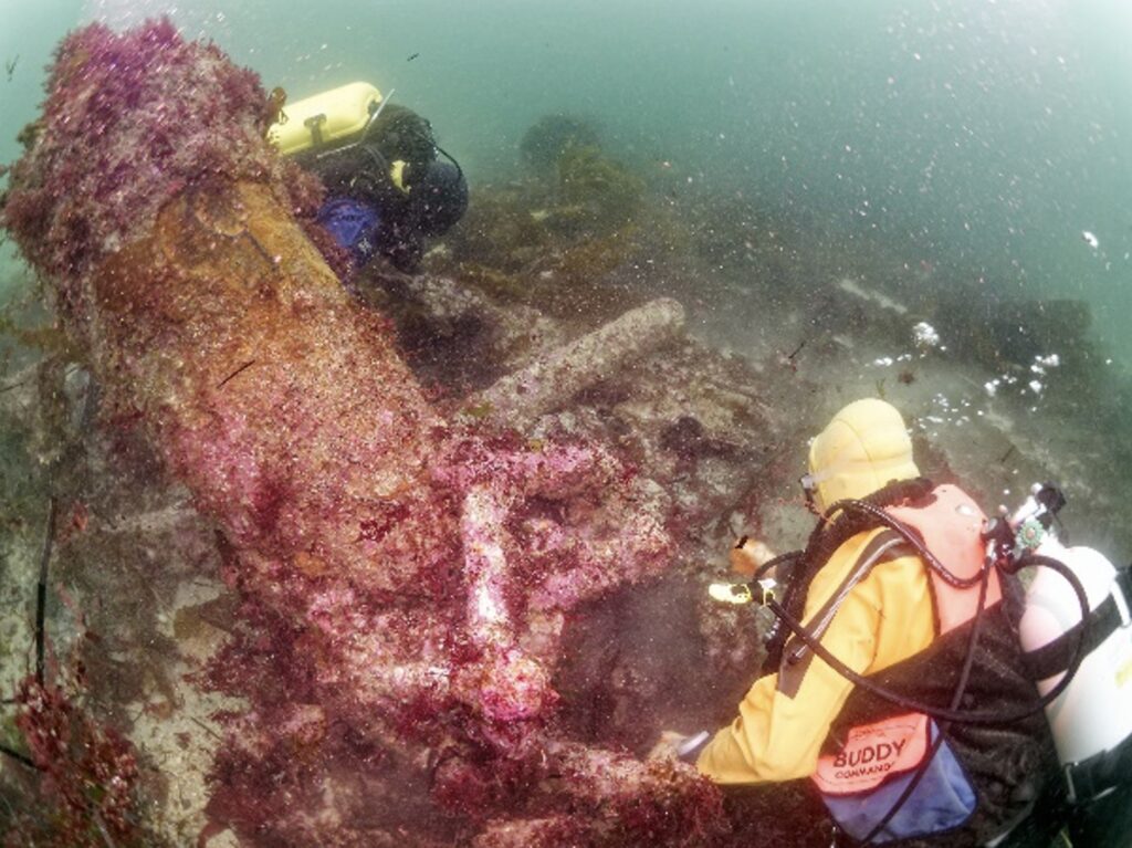 Two divers in brightly coloured wetsuits removing seaweed from the iron objects under the sea. The prominent wreckage includes a cannon covered in pink marine growth, with additional iron bars and debris scattered around. The divers are actively observing and recording details of the site.